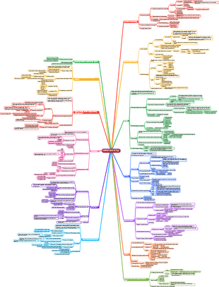 Medical immunology mind map