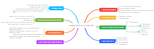 Company KPI assessment plan