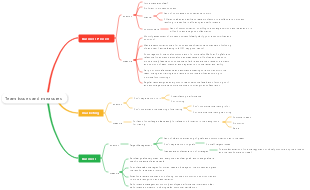 Team issues and measures