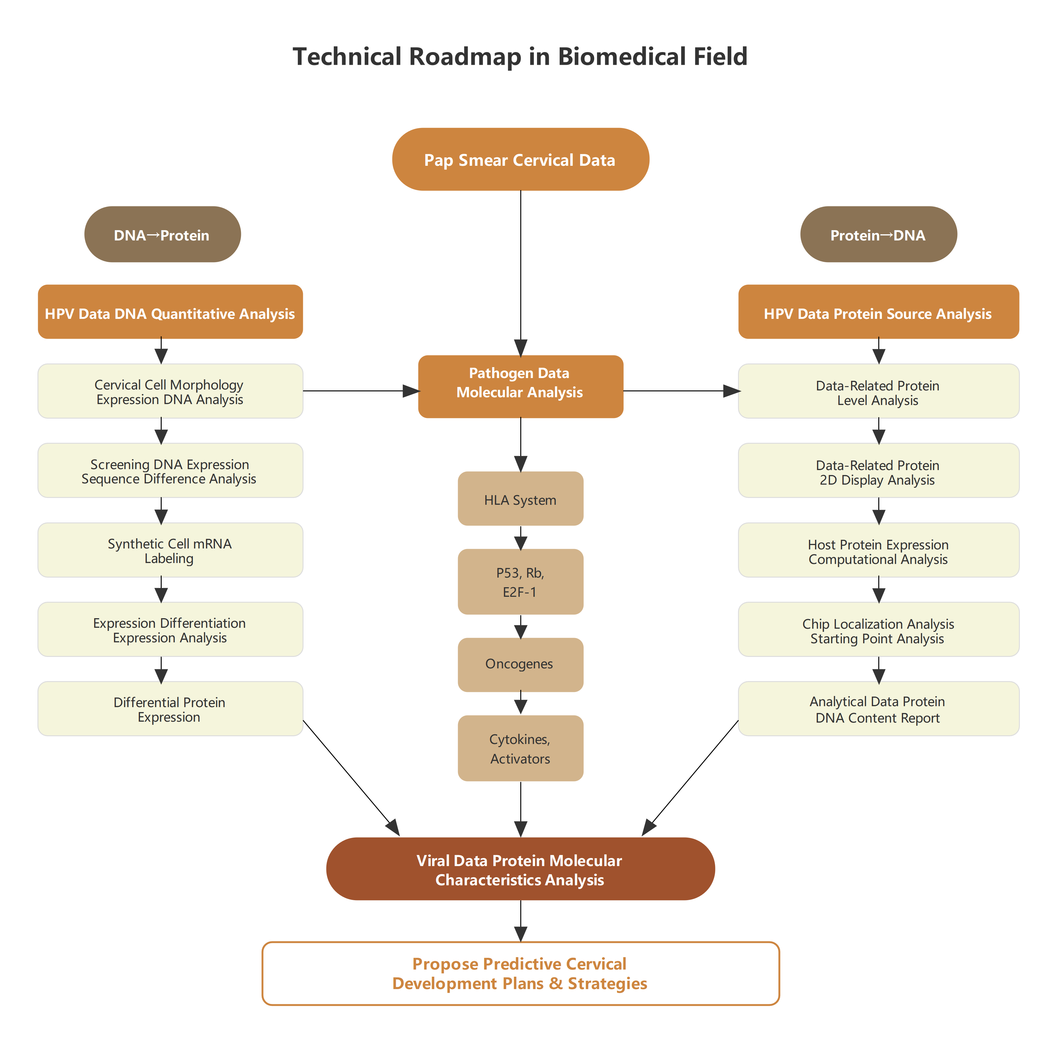 Biomedical Technical Roadmap: Cervical Data Analysis