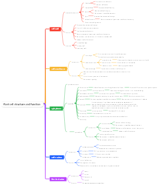 Plant cell structure and function