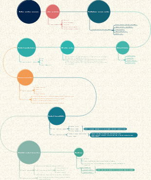 Order review process
