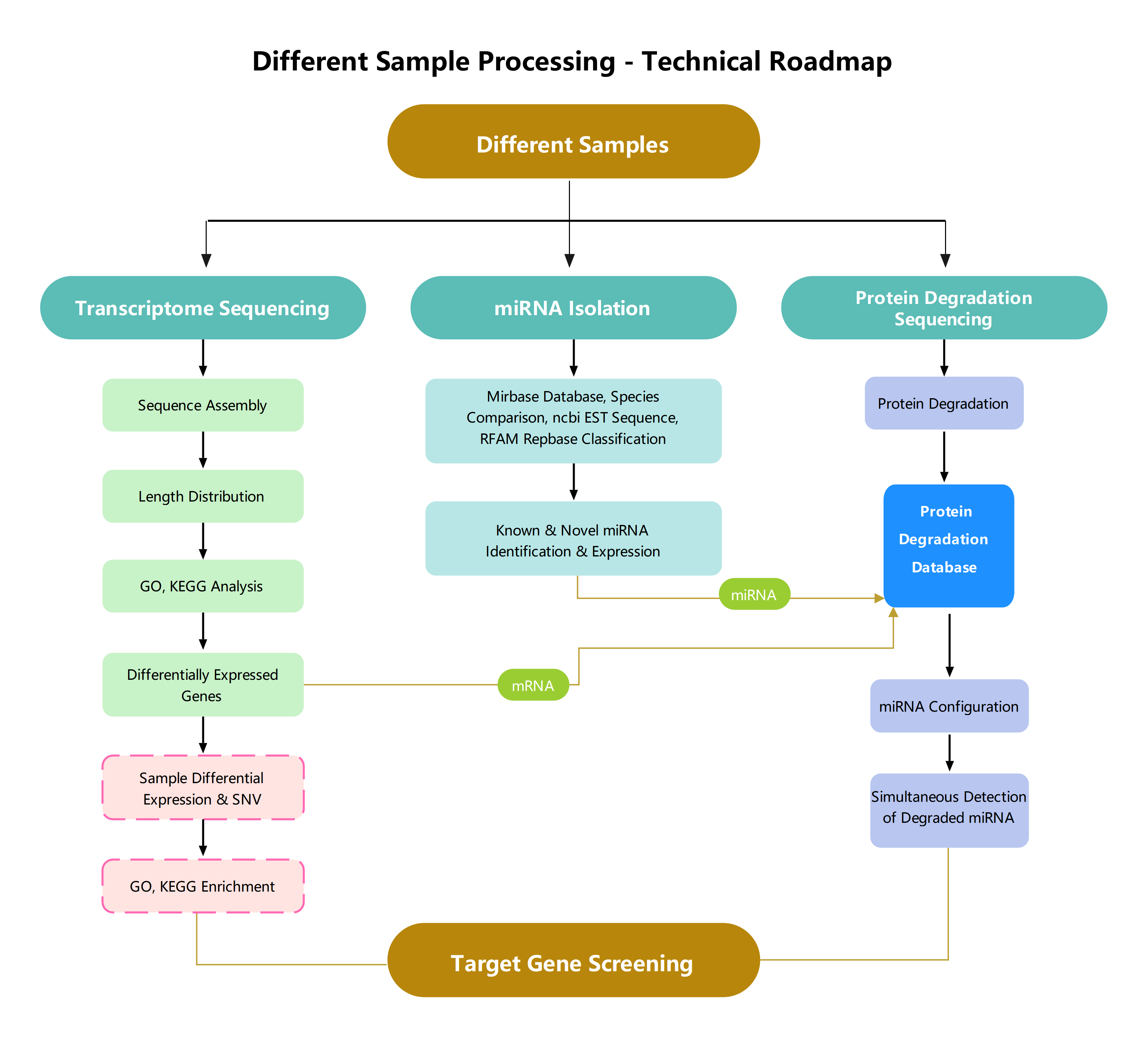 Sample Processing Technical Roadmap | EdrawMax Templates