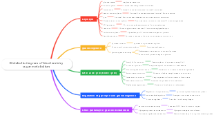 Metabolic diagram of biochemistry sugar metabolism