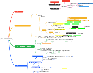 1. Pumping of the heart - blood circulation