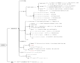 GD32處理器知識圖譜