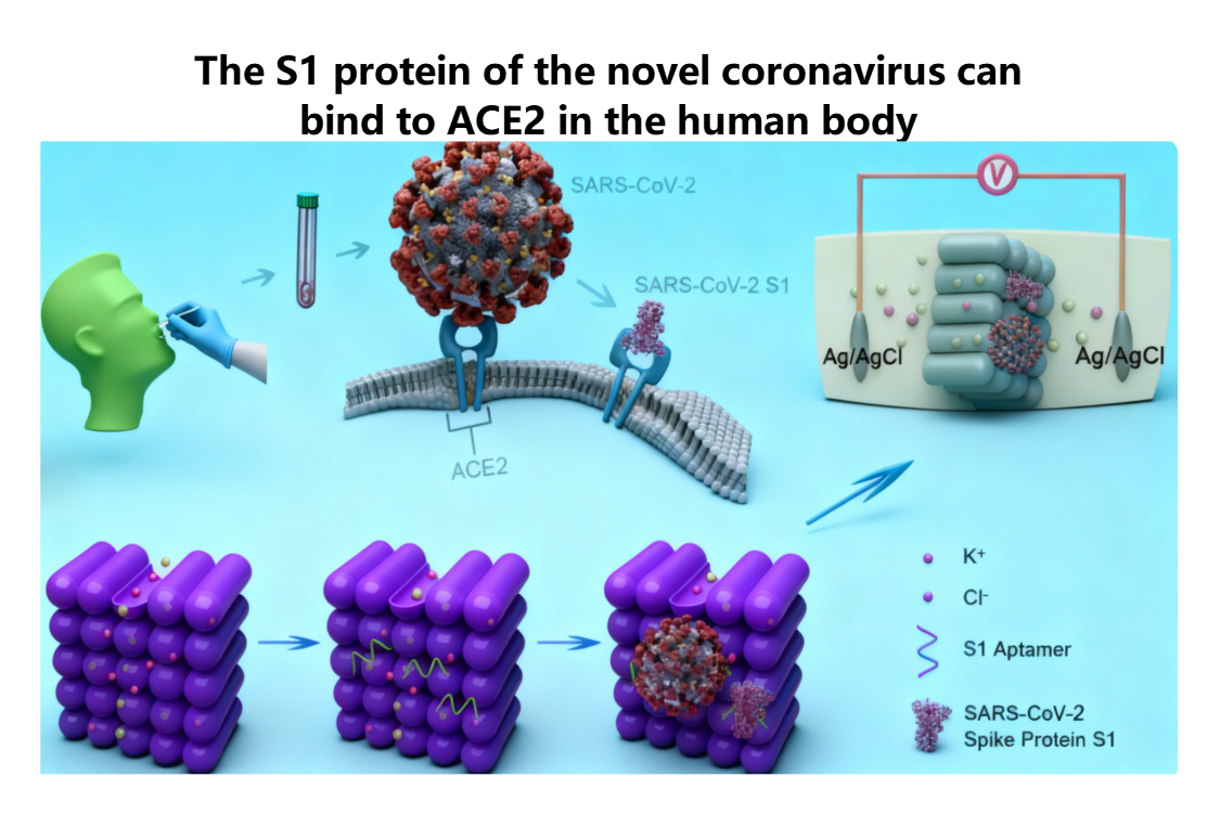 SARS-CoV-2 Detection Mechanism