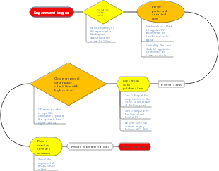 Experiment start flow chart