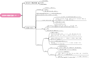 分娩室の医療記録レポート