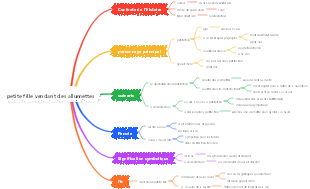 petite fille vendant des allumettes