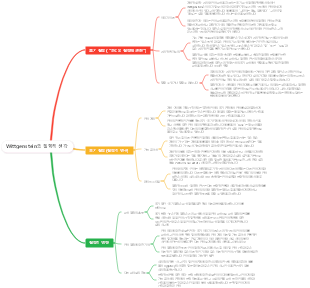 Wittgenstein의 철학적 생각