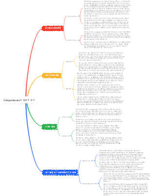 Schopenhauer의 철학적 생각