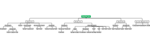 Company organizational structure