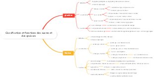 Classification et fonctions des sucres et des graisses