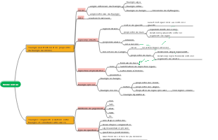 Triangle (points de connaissance et types de questions)