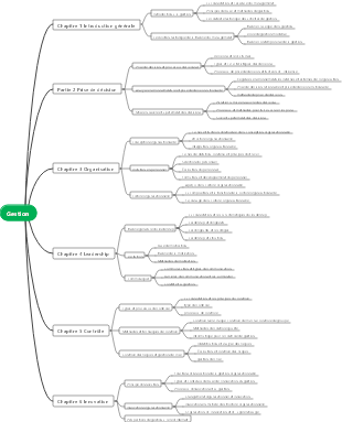 Carte mentale des principes de gestion