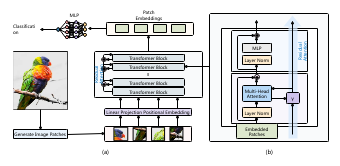 Schematic diagram of the ReVit attention network structure 