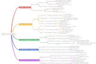 Energy conversion network