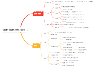 糖質と脂質の分類と働き
