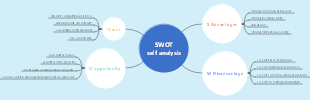 SWOT self-analysis