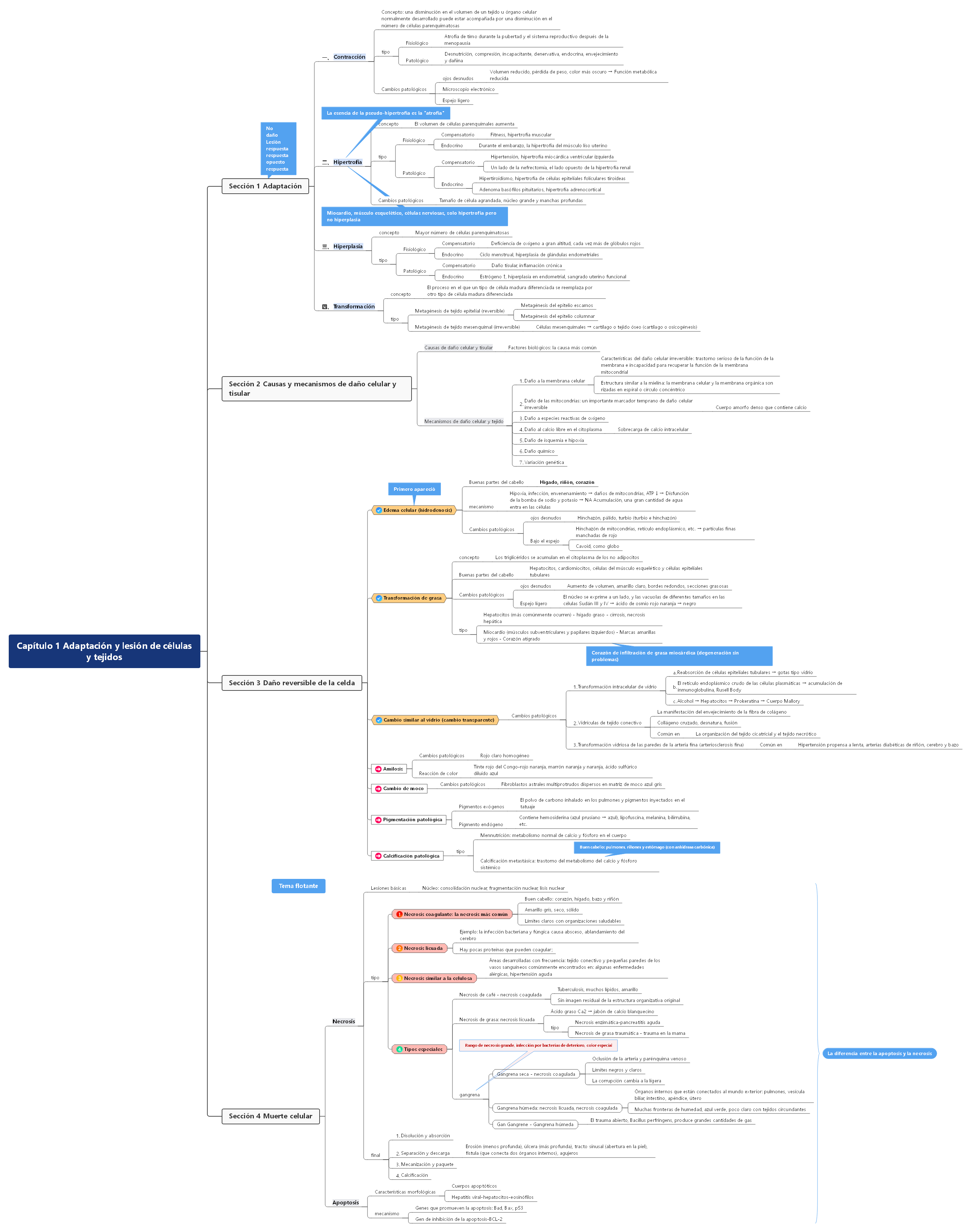 Capítulo 1 Adaptación y lesión de células y tejidos