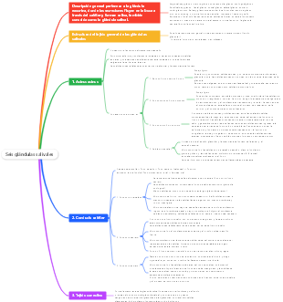 6. Distribución y características histológicas de las glándulas salivales