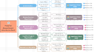 Hospital department structure chart