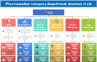 Pharmaceutical company department structure chart