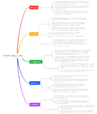 생각하기, 빠르고 느리게