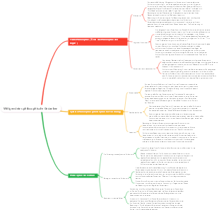 Wittgensteins philosophische Gedanken