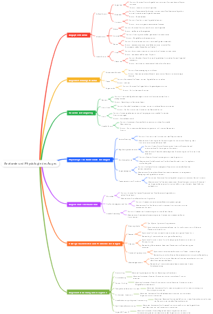 Anatomie und Physiologie des Auges