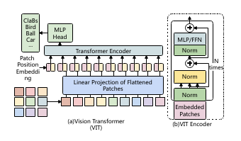 VIT (Vision Transformer) and VIT Encoder