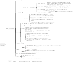 GD32 프로세서 지식 맵
