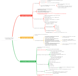 7. Marketingstrategie Formulierung STP