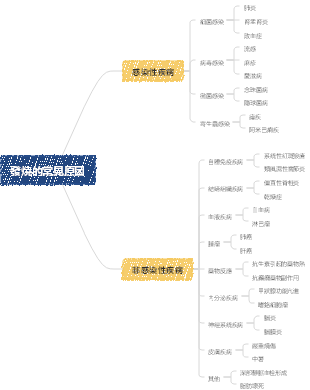 發燒的常見原因