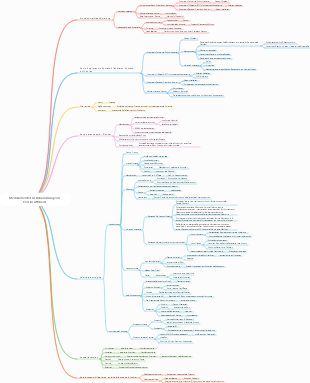 Pharmakologie – Medikamente zur Behandlung von Herzinsuffizienz