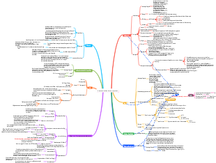 rheumatisches Immunsystem