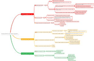 Evolução histórica da teoria da gestão