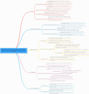 Mapa mental de básicos da geografia natural