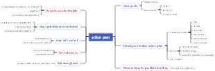 action plan