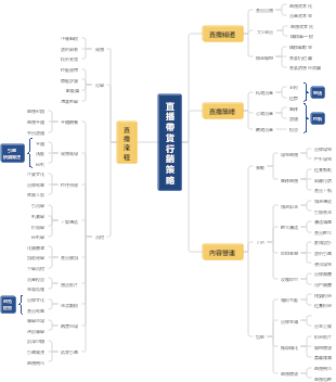 直播帶貨行銷策略