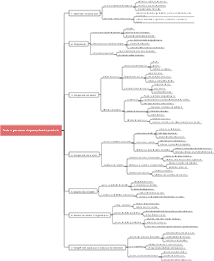 Todo o processo de pesquisa de produto