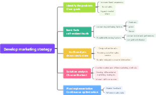 Develop marketing strategy