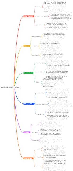 Pensées philosophiques de Platon