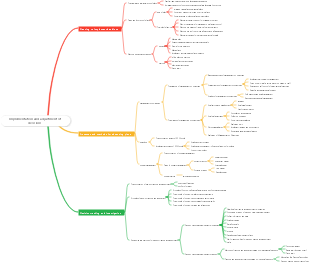 Management Chapter 5 Implementation and Adjustment of Decisions