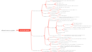 efferent nervous system