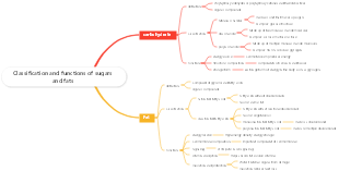 Classification and functions of sugars and fats