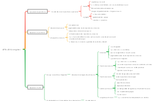 difficulté à respirer
