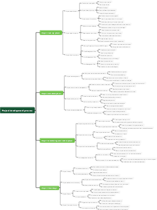 Project development process