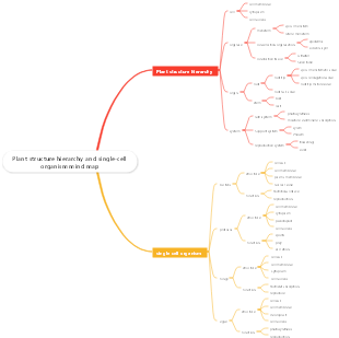 Plant structure hierarchy and single-cell organism mind map